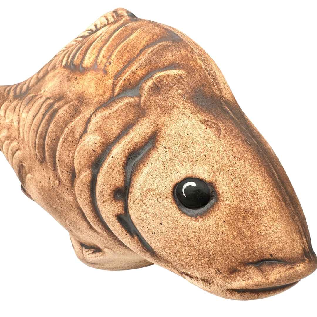 Pohled na kapra Šupináče